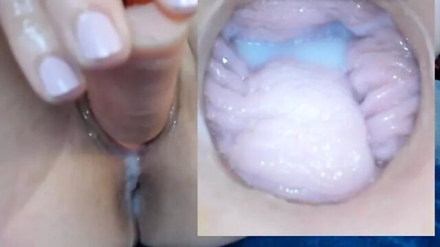 Pussy Cam