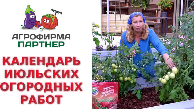 КАЛЕНДАРЬ ИЮЛЬСКИХ ОГОРОДНЫХ РАБОТ
