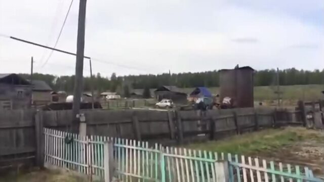 Жив цел орел