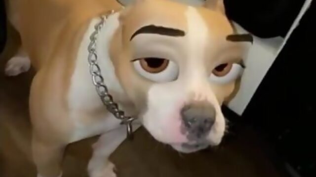 Мультяшный пёс